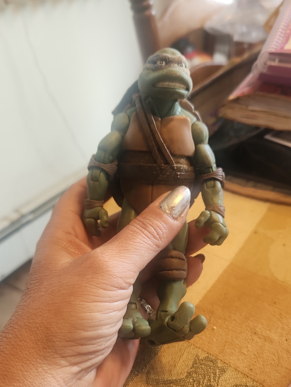 Ninja Turtle Leanordo